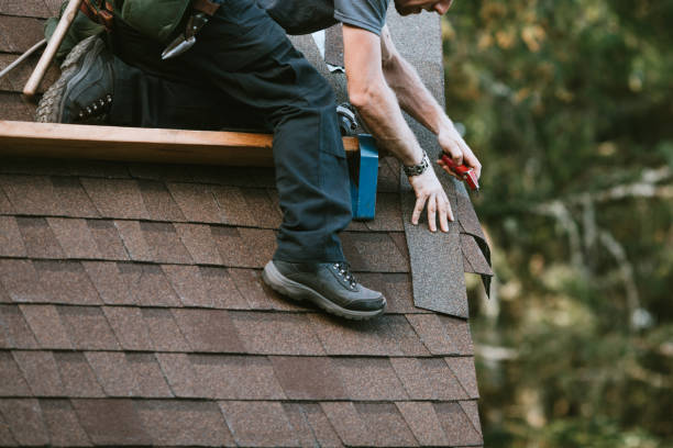 Roof Gutter Cleaning in Southwest Ranches, FL